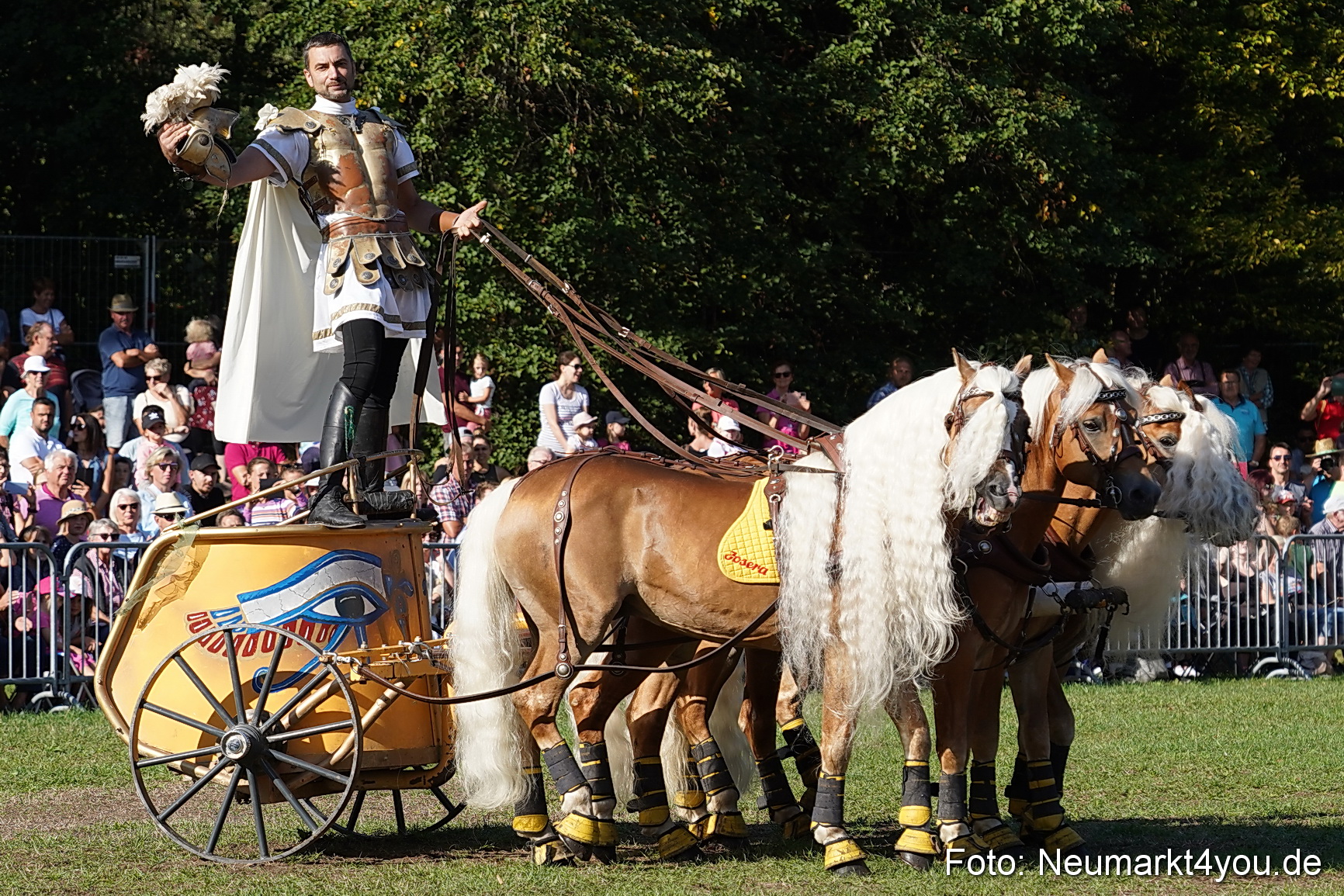 Pferde und Fohlenschau 2022 0025 